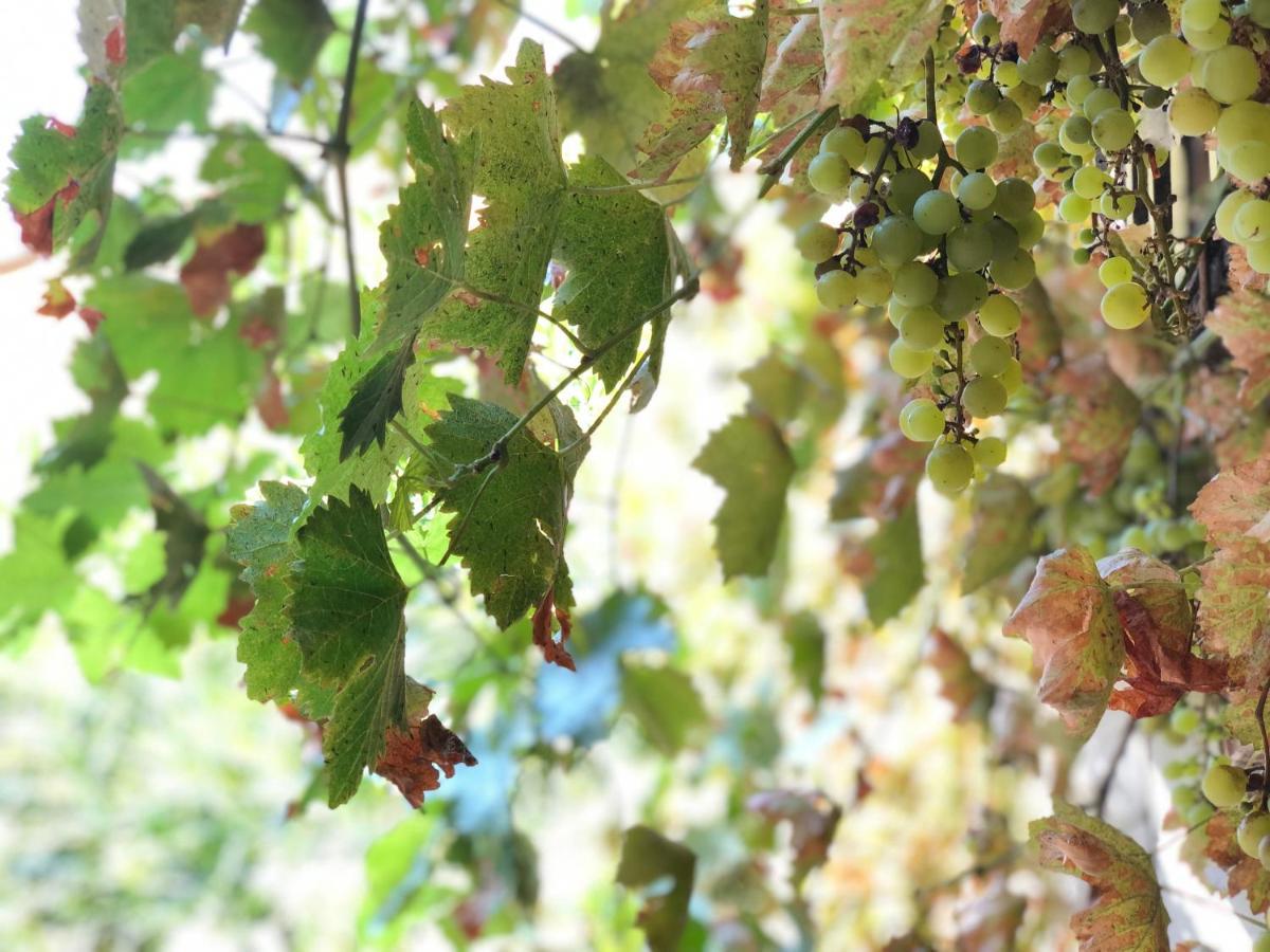 L'Antico Podere Soresina Eksteriør bilde